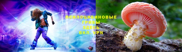 кокс Белокуриха
