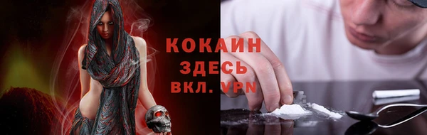 кокс Белокуриха