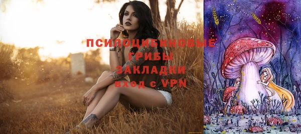 ПСИЛОЦИБИНОВЫЕ ГРИБЫ Белоозёрский