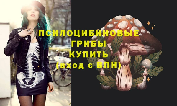 ПСИЛОЦИБИНОВЫЕ ГРИБЫ Белоозёрский