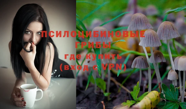 ПСИЛОЦИБИНОВЫЕ ГРИБЫ Белоозёрский