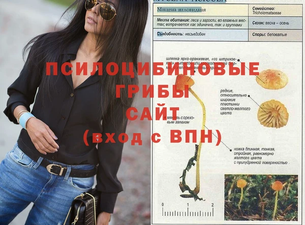 СК Беломорск