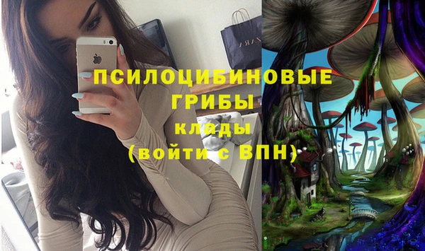 кокс Белокуриха