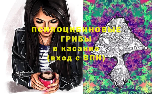 ПСИЛОЦИБИНОВЫЕ ГРИБЫ Белоозёрский