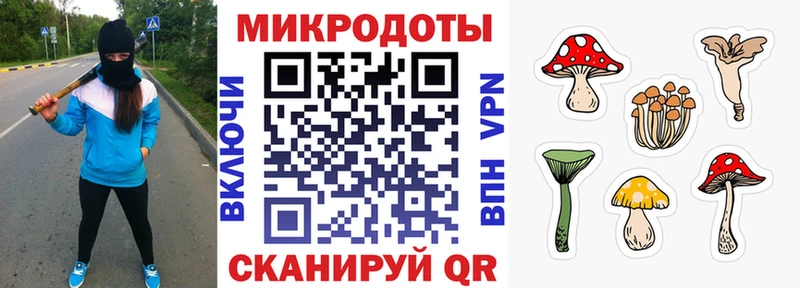 Галлюциногенные грибы мухоморы Гулькевичи