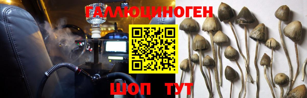 Псилоцибиновые грибы Psilocybine cubensis  Вход с VPN  Гулькевичи  Галлюциногенные грибы прущие грибы 